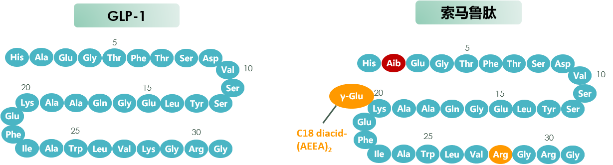 图1.索马鲁肽与人GLP-1肽序对比.png